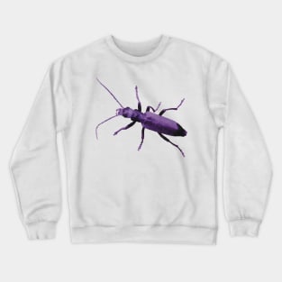 Purple Beetle Wharf Borer Crewneck Sweatshirt